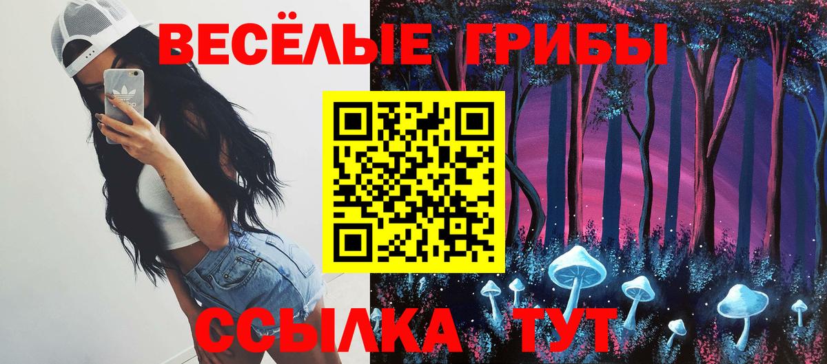 Мценск  Псилоцибиновые грибы MAGIC MUSHROOMS  Псилоцибиновые грибы мухоморы  Вход с VPN 