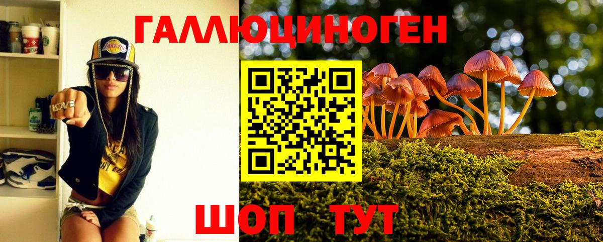 Псилоцибиновые грибы прущие грибы Мценск